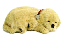 Load image into Gallery viewer, Perfect Petzzz Golden Retriever Plush