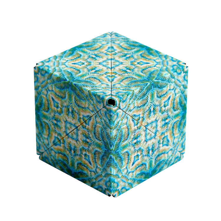 Shashibo Magnetic Puzzle Cube, Under Sea