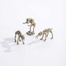 Load image into Gallery viewer, GeoCentral Mini Excavation Kit: Ice Age Animals
