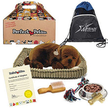 Load image into Gallery viewer, Perfect Petzzz Plush Chocolate Lab Breathing Dog, Dog Food, Treats, Chew Toy &amp; Drawstring Bag